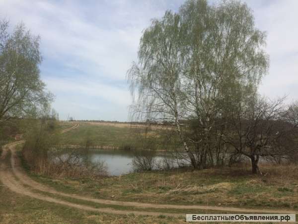 Участок 20 соток у водоема, Каширское шоссе