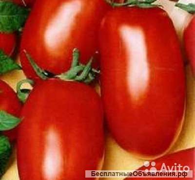 Томат банан красный рассада