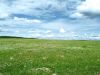 Земля сельскохозяйственного назначения (143 Га)