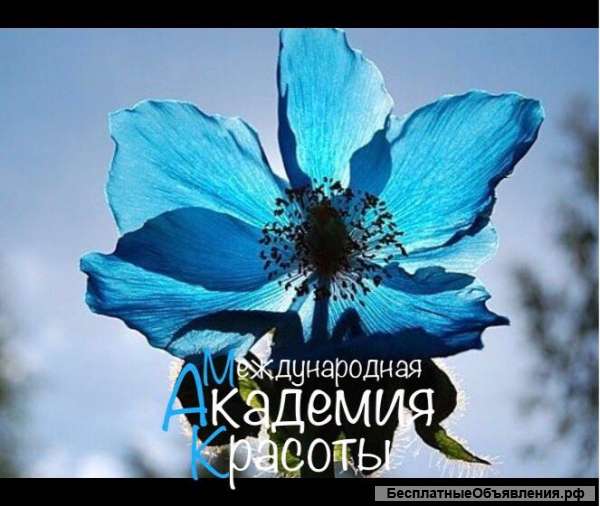 Требуется администратор