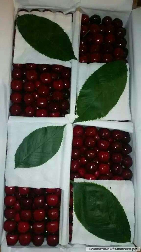 Поставщики из Ирана