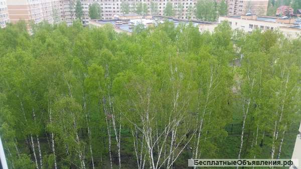 Двухкомнатную квартиру