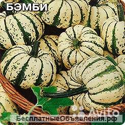 Тыква декоративная Бэмби рассада