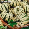 Тыква декоративная Бэмби рассада
