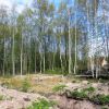20 сот ИЖС дер. Вистино, Кингисеппский р-н