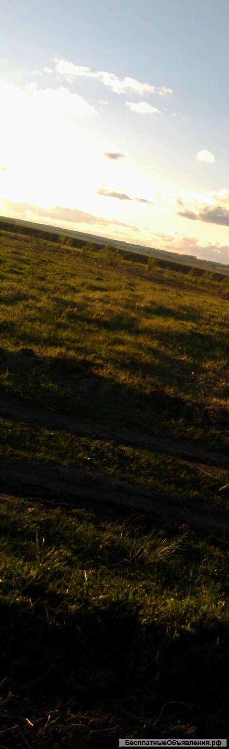 Два участка в Тульской обл