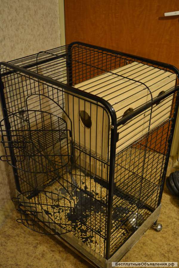 Клетка для шиншилл, дегу с приданными со скидкой