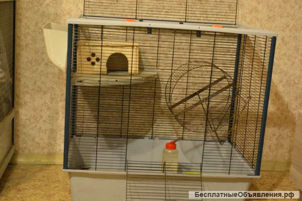 Итальянская клетка с приданными со скидкой