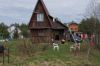 Дача на лето поселок Озерки (Финский залив)