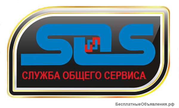 Водитель-менеджер