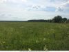Земельного участка площадью 1 Га в можайском р-не