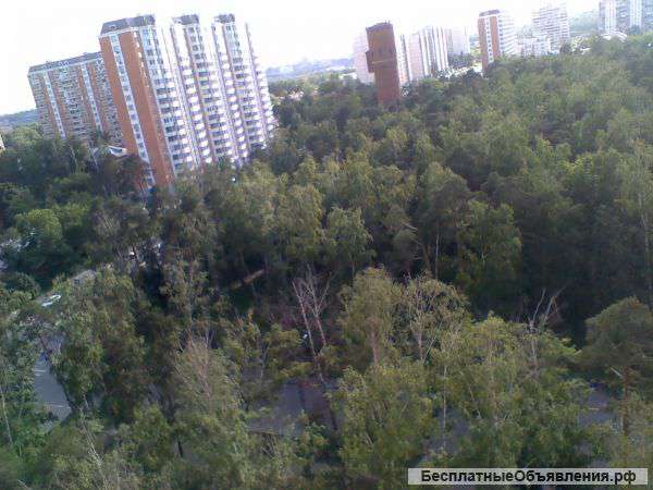 Продаю 1 комн. кв- ру в Некрасовке
