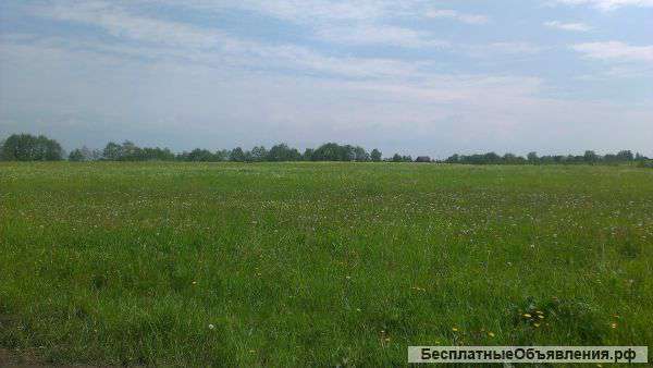 Продажа земельного участка