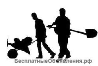 Разнорабочий на комплектовку