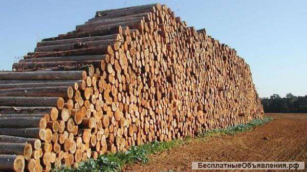 Лес кругляк оптом