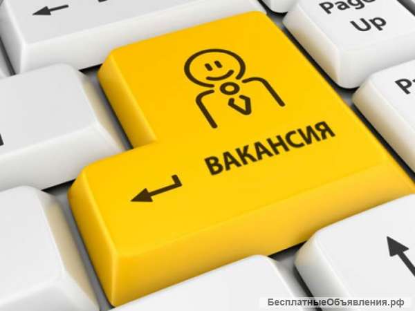 Работа в крупном он-лайн бизнес проекте