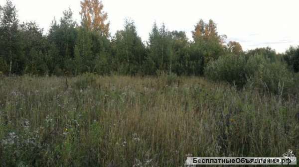 Участок 24 сотки