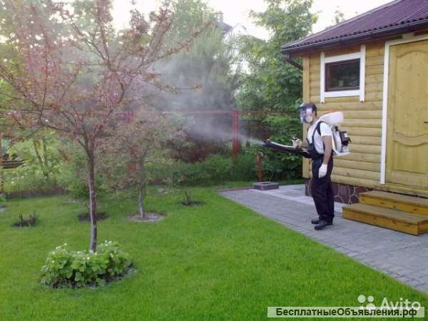 Опрыскивание сада