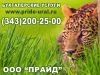 Бухгалтерское сопровождение организаций и ИП