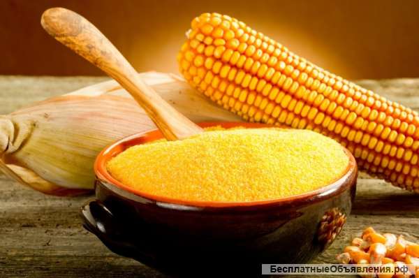 Кукурузная мука