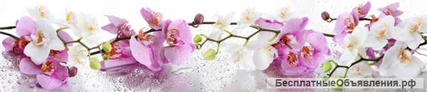 Стеновые фартуки МДФ