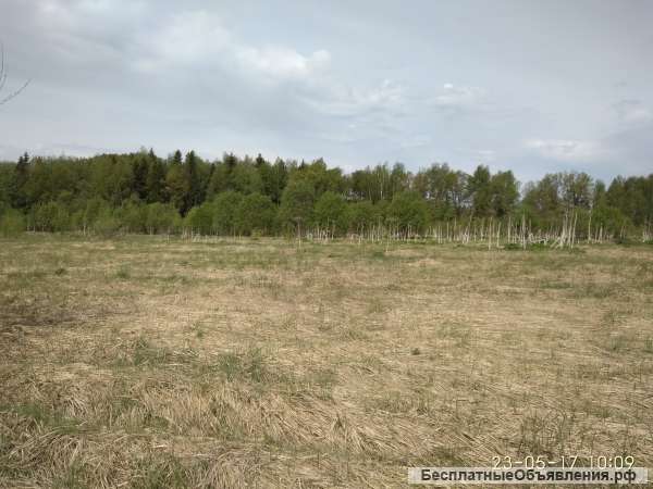 Участок 4,8 га д. Софьино
