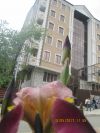Квартира на Красной Поляне