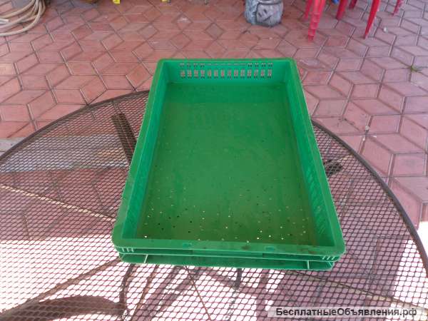 Ящики из пищевого пластика