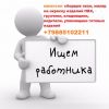 Требуются мастера