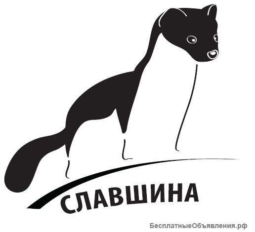 Требуется менеджер по продажам импортных шин