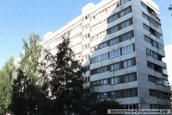 Квартира