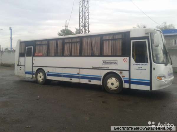 Автобус КАВЗ-4238-02