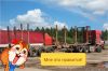 Требуется водитель на лесовоз тягач рено премиум