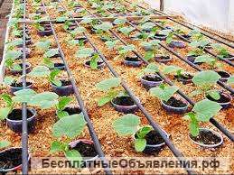 Шланг для капельного полива Полимериндустрия