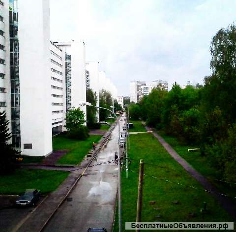 2-х комнатную квартиры