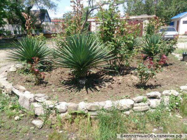 База отдыха в пос.Архипо-Осиповка