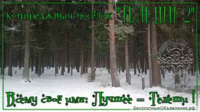 Участки в новом коттеджном поселке "ТЕЛЕШИ-2", сосновый бор