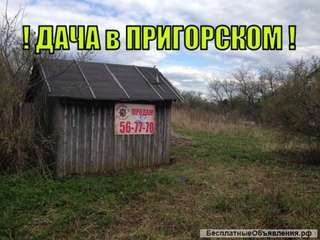 Дачный участок, в д. Вербовка (р-н Пригорского), с маленьким