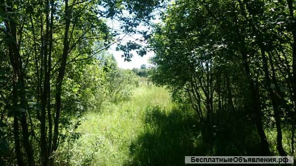 Зем.участок 10 соток, в Алексино, с коммуникациями