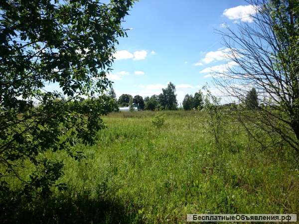 Зем.участок 10 соток, в Алексино, с коммуникациями