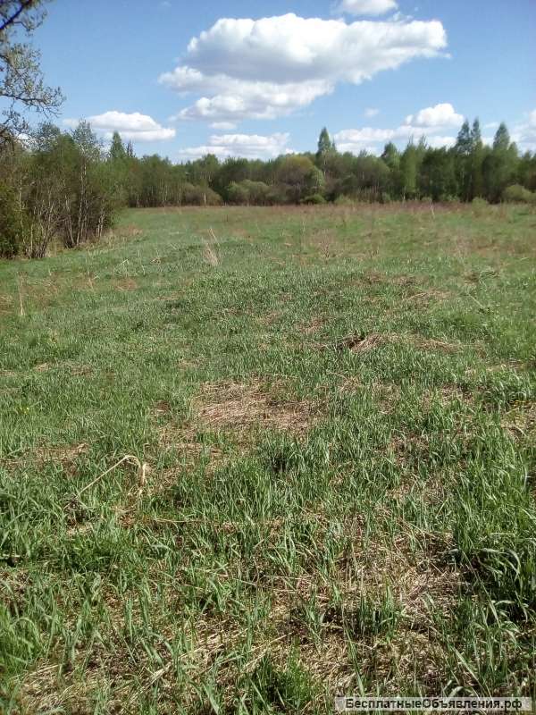 Земельрый участок