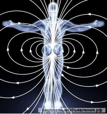 Диагностическое тестирование организма