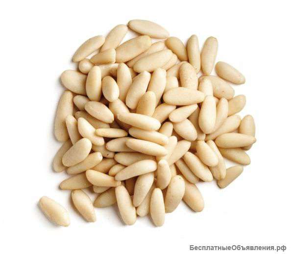 Ядра кедровых орехов оптом