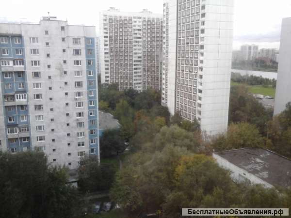 Двушка в Братеево 53м