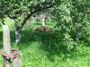 Участок