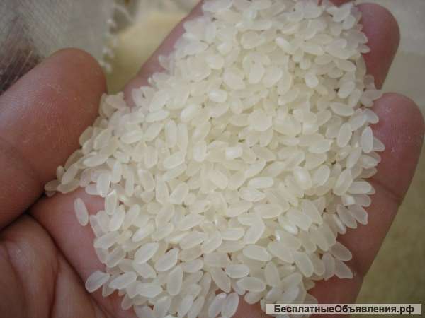 Рис, крупа рисовая ГОСТ и ТУ оптом со склада