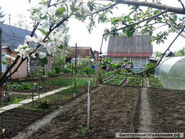 Сроная продажа дачи в СНТ с посадками