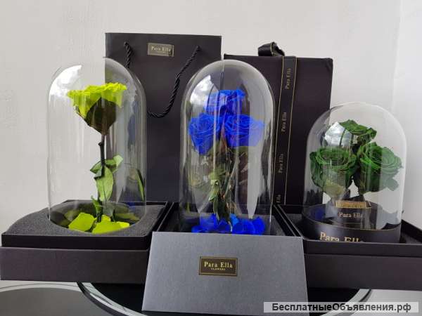 Розу в колбе