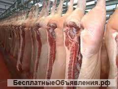Охлажденная свинина в полутушах