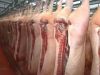 Охлажденная свинина в полутушах